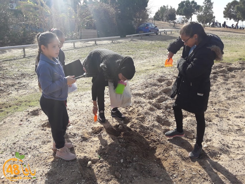 zr3 7san 3arafa (6).jpg